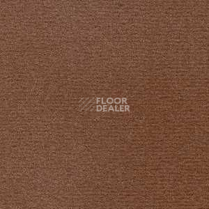 Ковролин Radici Nexus Tabacco 2430 фото 1 | FLOORDEALER